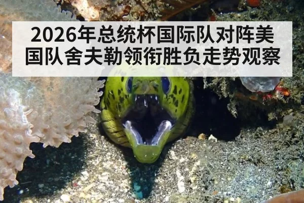 2026年总统杯国际队对阵美国队舍夫勒领衔胜负走势观察